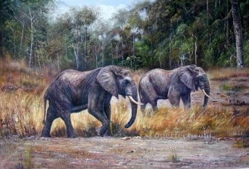 elefant Ölbilder verkaufen - dw009dD Tier Elefant